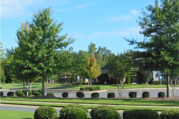 HOA community entrance landscaping maintained by SouthernEEZ